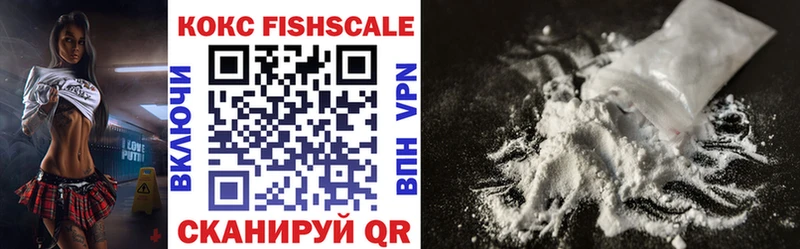 COCAIN FishScale  купить закладку  Электроугли 