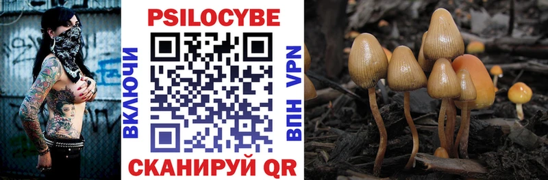 цена наркотик  Электроугли  Галлюциногенные грибы Psilocybine cubensis 